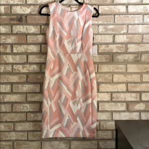 Calvin Klein Professional Dress